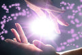 Booking Reiki Healing
